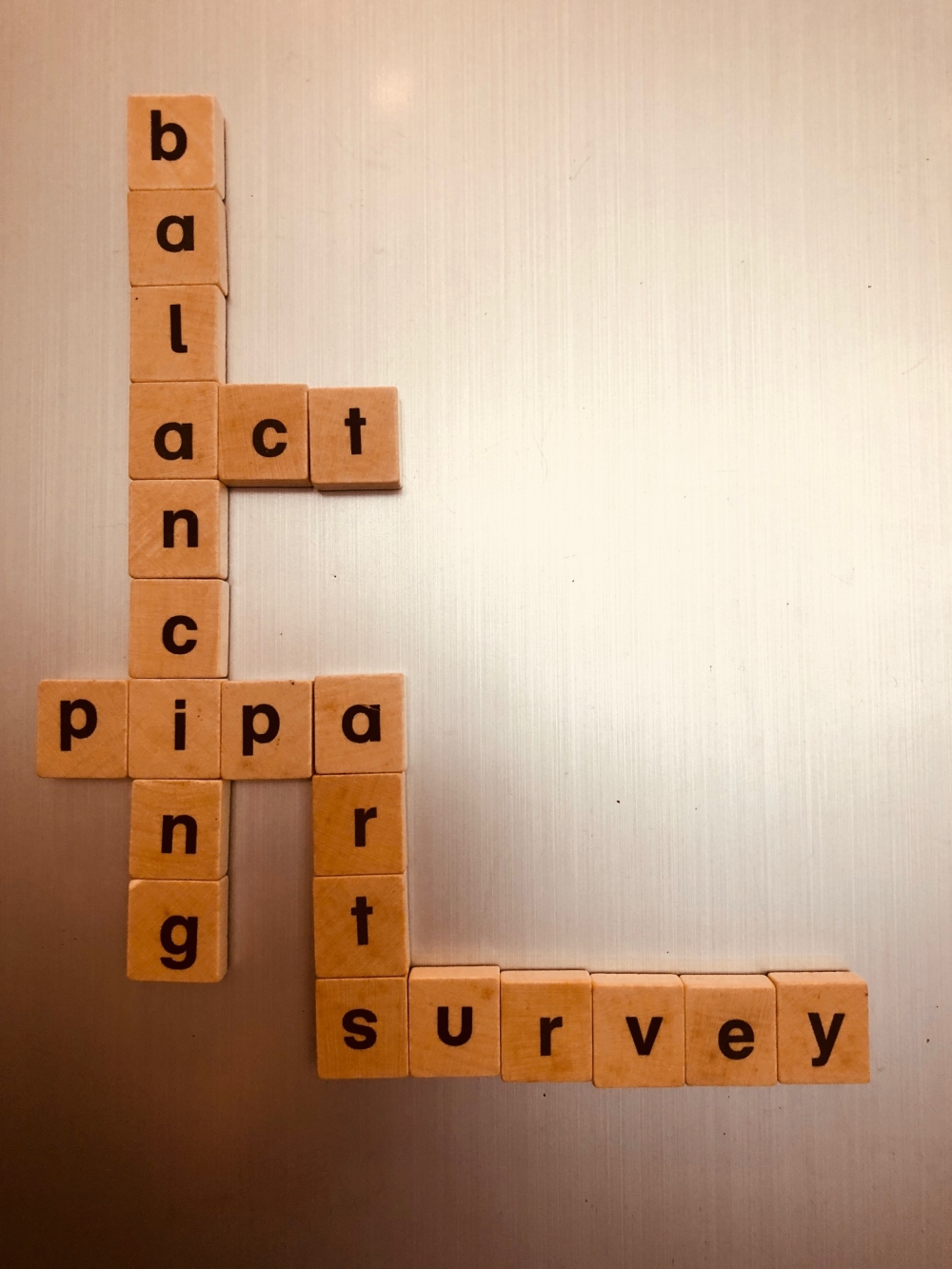 T-PIPABalancingActSurvey-1.jpg